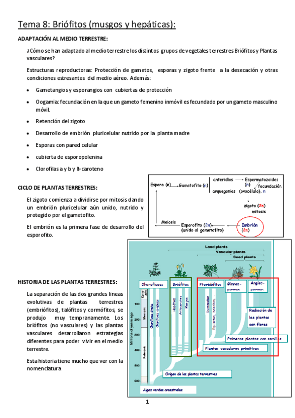 Miniatura del documento 8. Briófitos (musgos y hepáticas).pdf