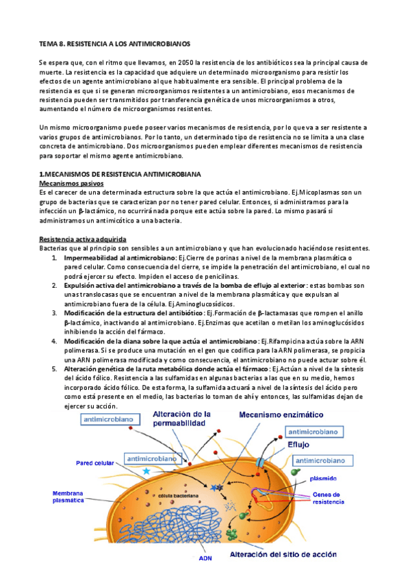 Miniatura del documento Tema 8..pdf