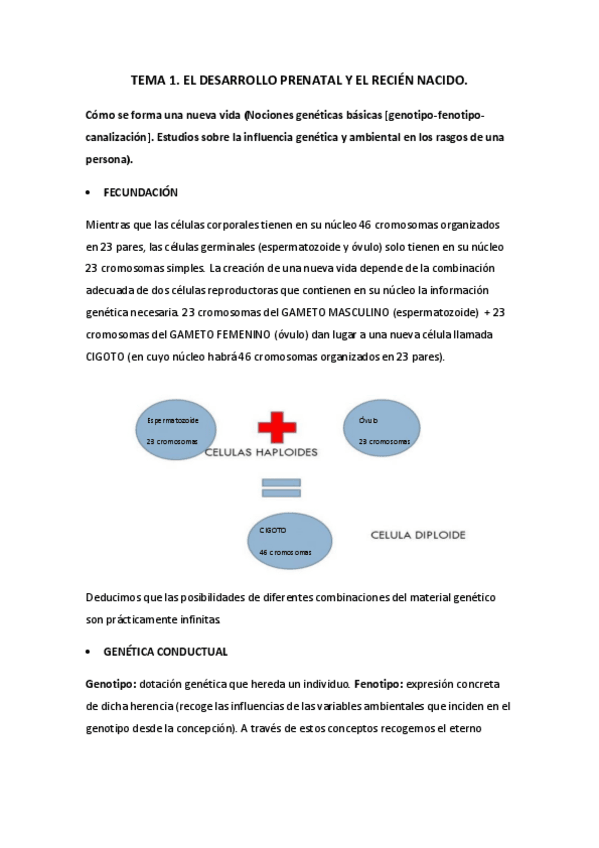 Miniatura del documento TEMA 1 Psicología del Desarrollo I.pdf