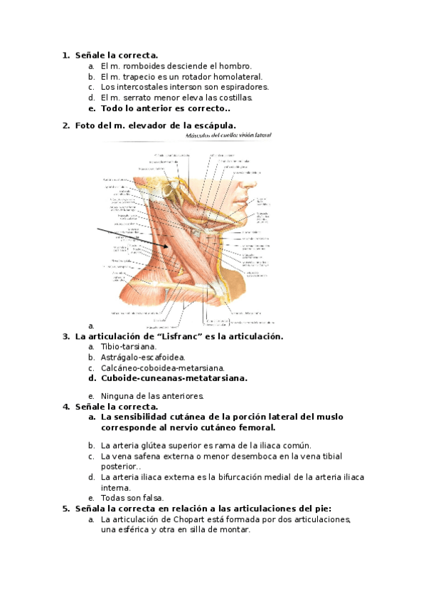 Miniatura del documento Examen tronco y cuello.docx