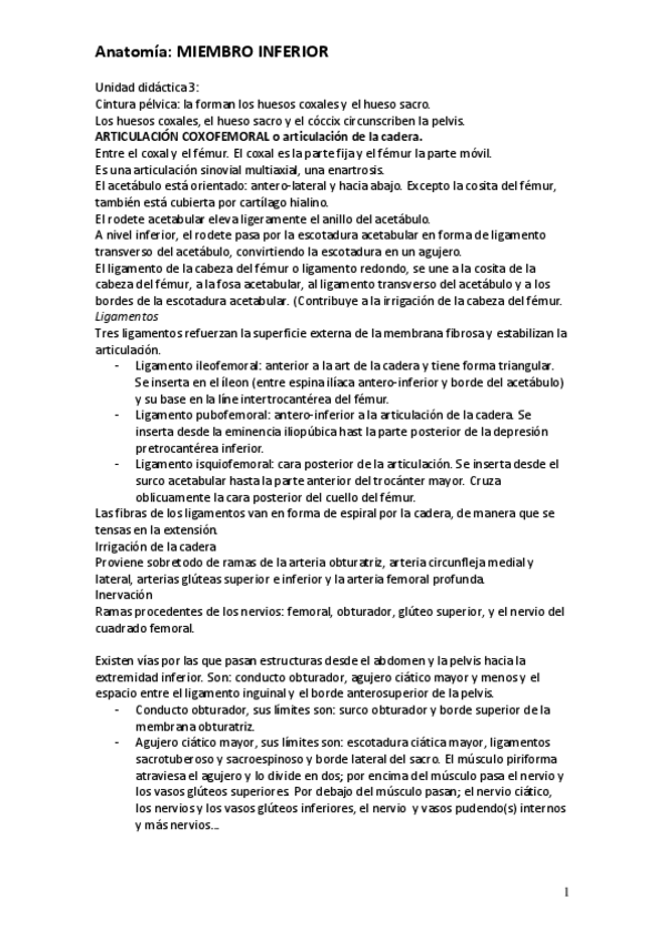 Miniatura del documento ANATOMÍA MIEMBRO INFERIOR.pdf