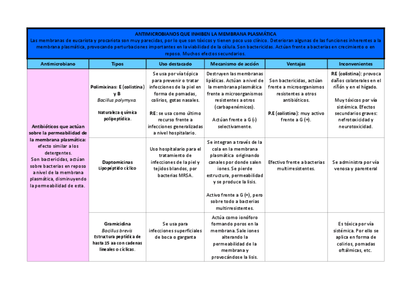 Miniatura del documento Tabla Membrana Plasmática.pdf