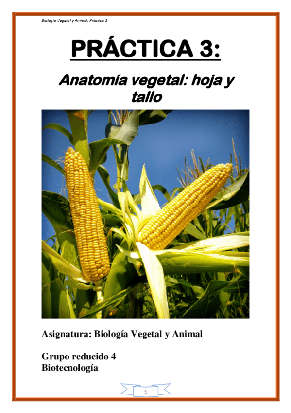 Miniatura del documento Practica 3.pdf