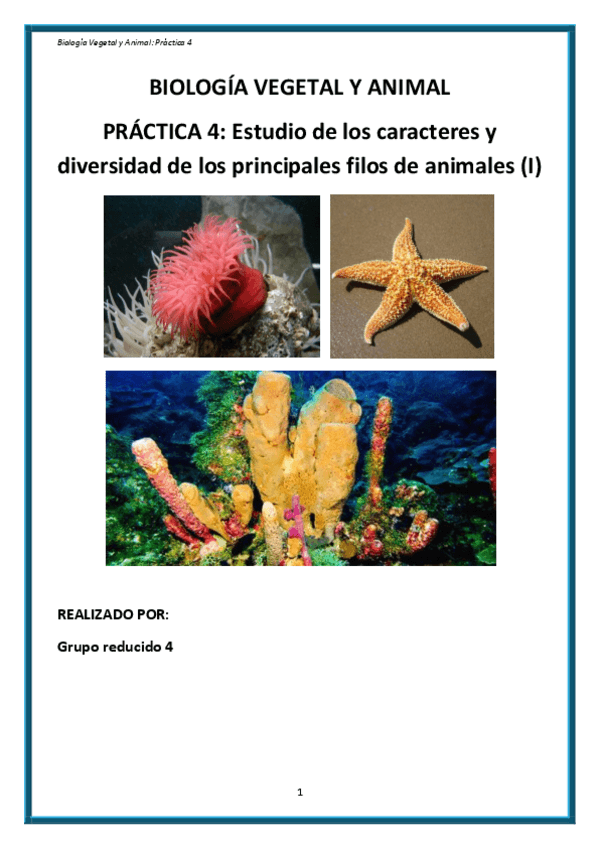 Miniatura del documento Práctica 4.pdf