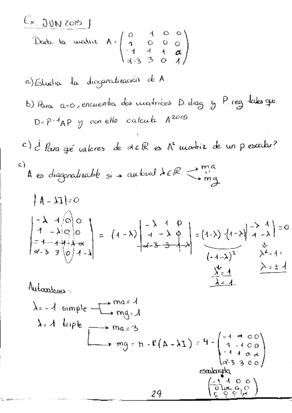 Miniatura del documento ejercicios de examen alegra.pdf