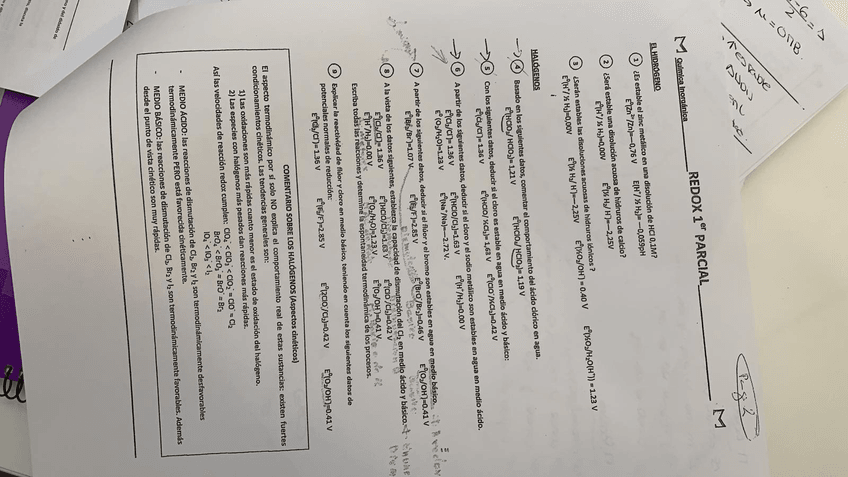 Miniatura del documento PHOTO-2019-03-25-17-38-55.jpg