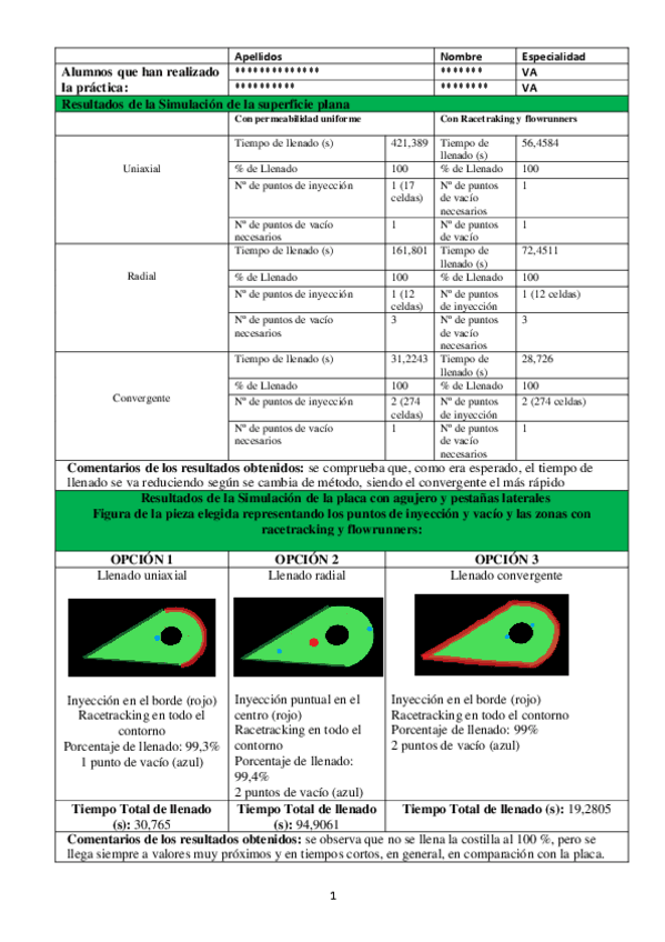 Miniatura del documento Informe_RTM.pdf