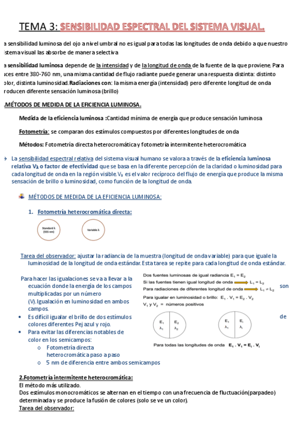 Miniatura del documento TEMAS PERCEPCIÓN  copia.pdf
