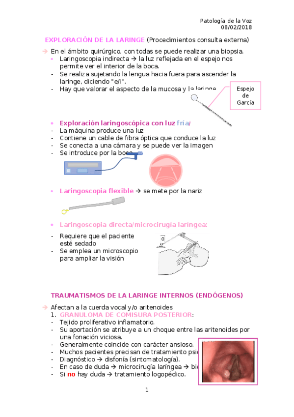 Miniatura del documento Exploración laríngea.docx