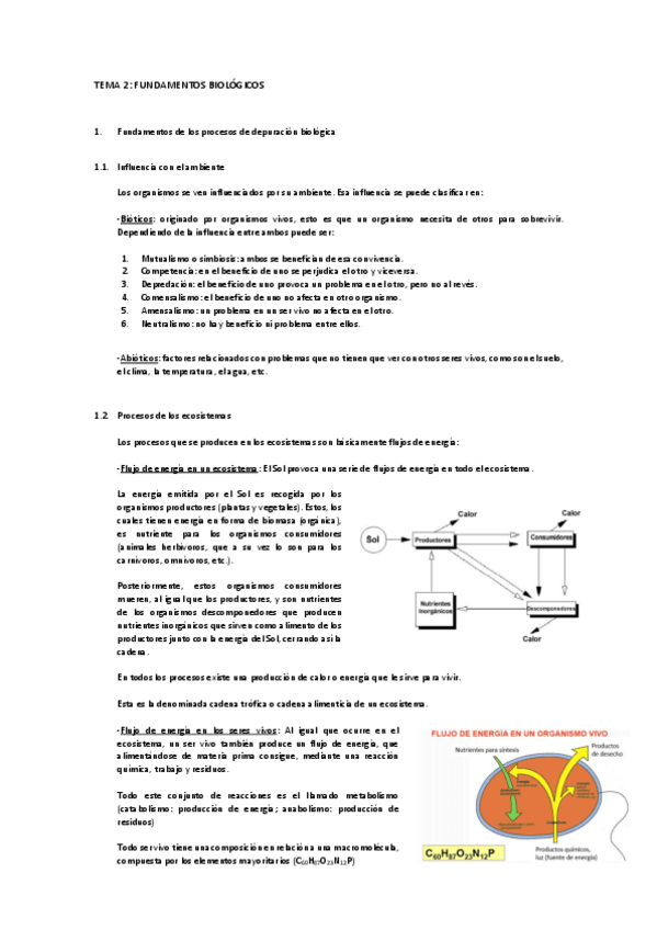 Miniatura del documento Tema 2. Fundamentos biológicos.pdf
