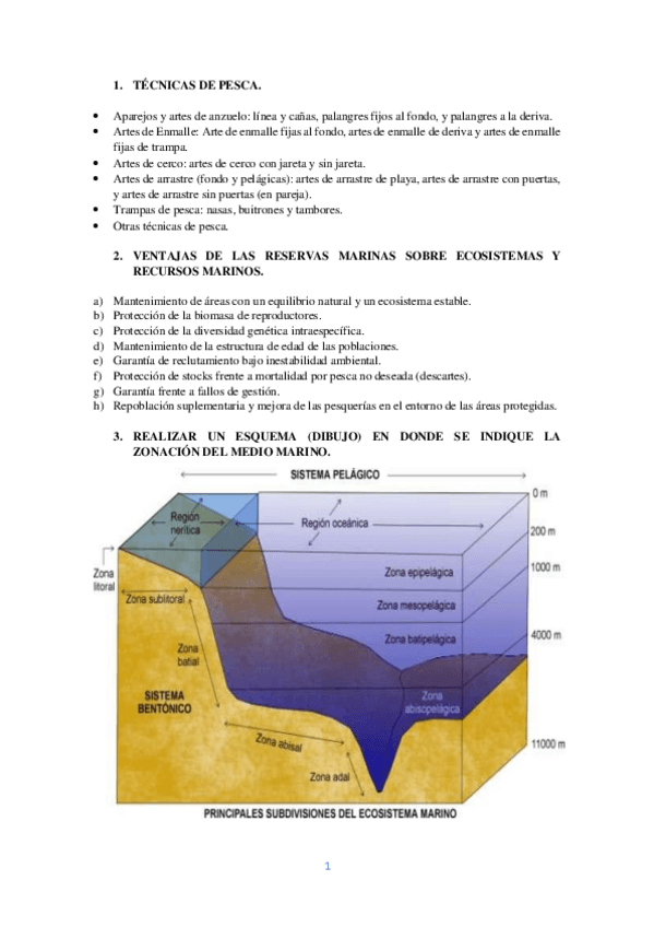Miniatura del documento PREGUNTAS DE EXÁMENES..pdf