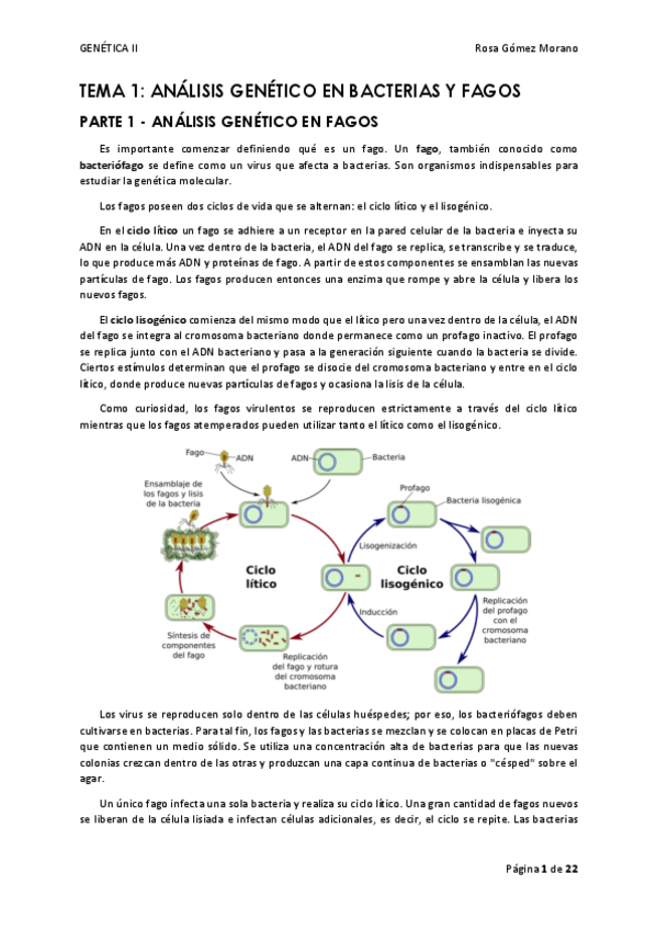 Miniatura del documento TEMA 1.pdf