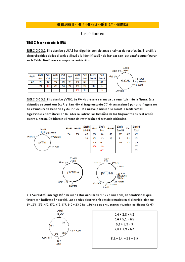 Miniatura del documento FIG (EJERCICIOS).pdf