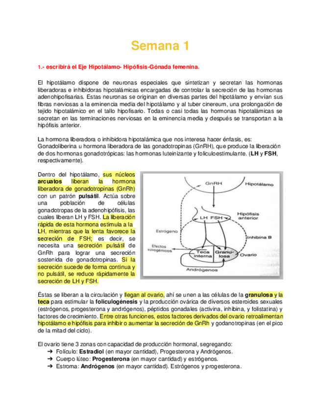 Miniatura del documento Bioca PP&PP Semana 1 - Eje homonal femenino.pdf
