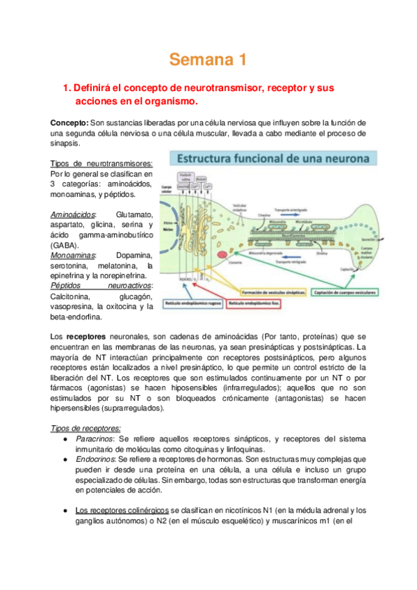 Miniatura del documento Bioca CDE Semana 1 - Neurotransmisor.pdf