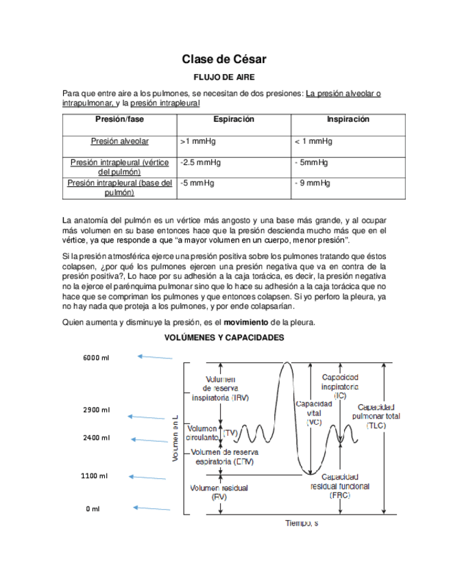 Miniatura del documento Clase de César.pdf
