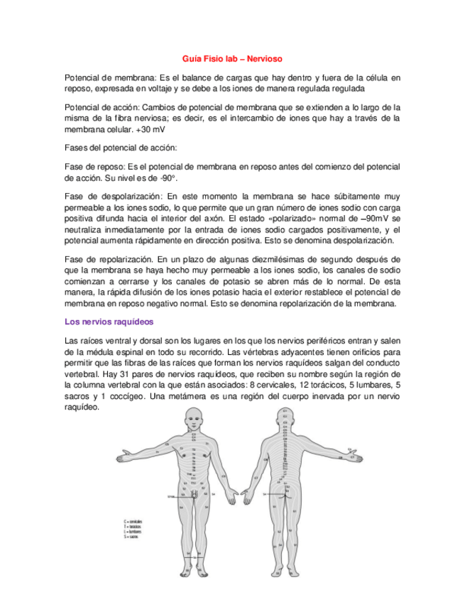 Miniatura del documento Guía Fisio lab _nervioso.pdf