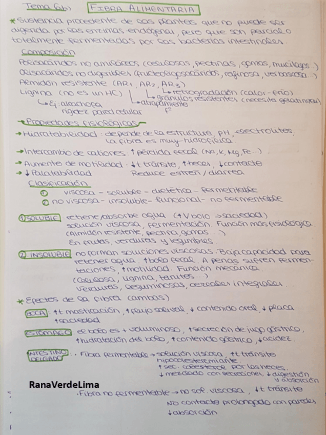 Miniatura del documento Tema 6b.pdf