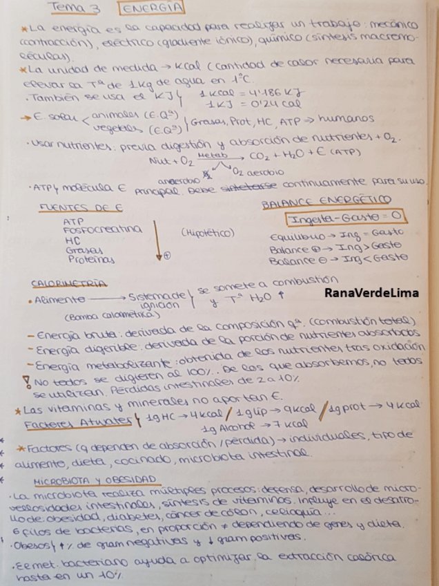 Miniatura del documento Tema 3.pdf