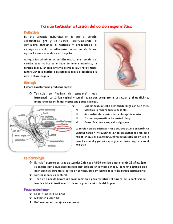 Miniatura del documento 19 Torsión testicular o torsión del cordón espermático.pdf