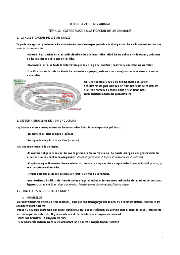 Miniatura del documento B. TEMA 12.- CATEGORÍAS DE CLASIFICACIÓN DE LOS ANIMALES.pdf