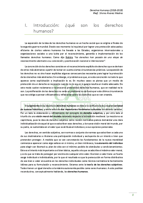 Miniatura del documento Apuntes DDHH (18_19).pdf