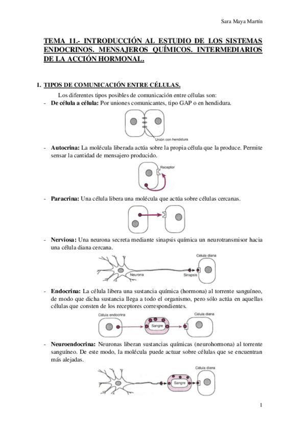 Miniatura del documento TEMA 11.- INTRODUCCIÓN AL ESTUDIO DE LOS SISTEMAS ENDOCRINOS. MENSAJEROS QUÍMICOS. INTERMEDIARIOS DE LA ACCIÓN HORMONAL..pdf