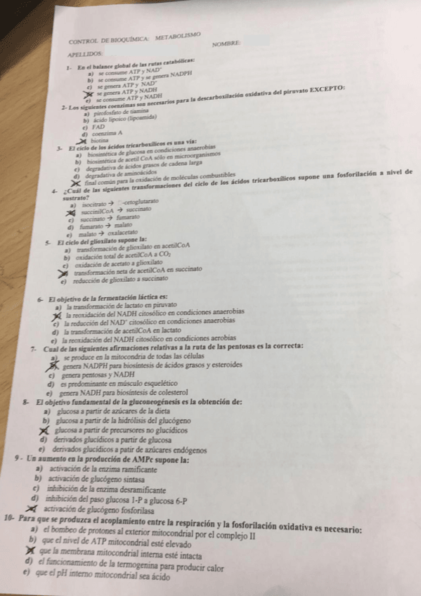 Miniatura del documento control metabolismo clase 08052019.pdf