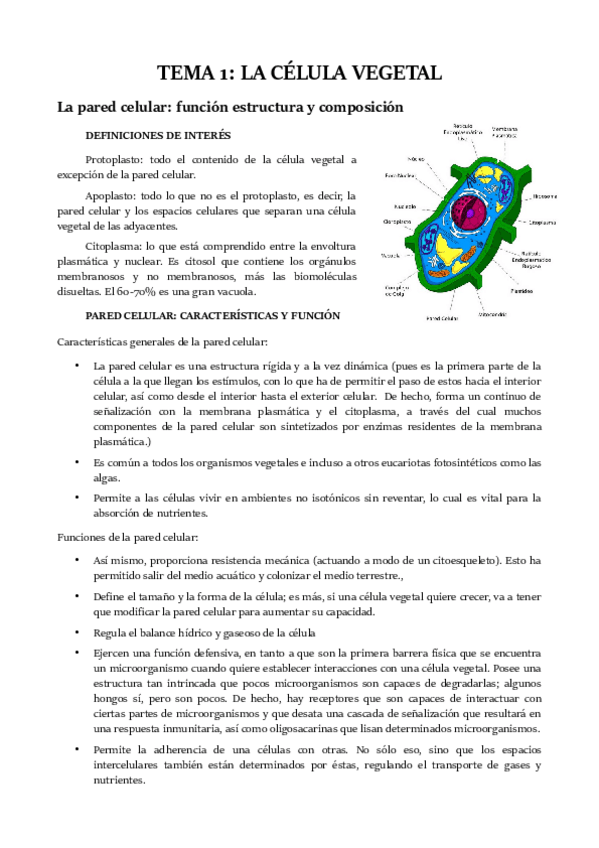 Miniatura del documento TEMA 1.pdf
