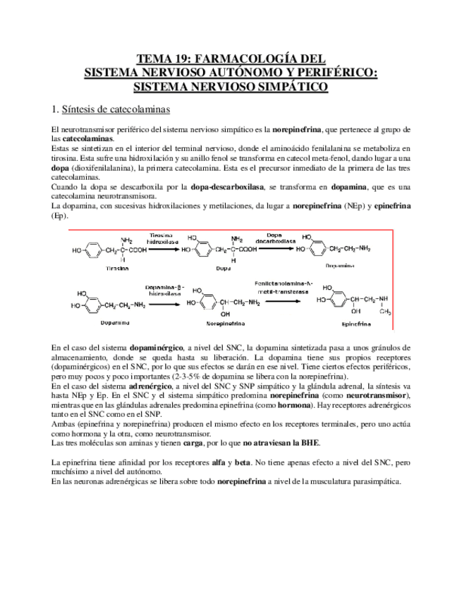 Miniatura del documento Tema 19 - Farmacología del SNA y SNP.pdf