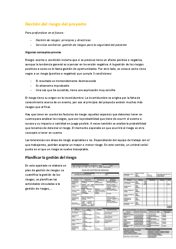 Miniatura del documento 11. Gestión del riesgo del proyecto.pdf