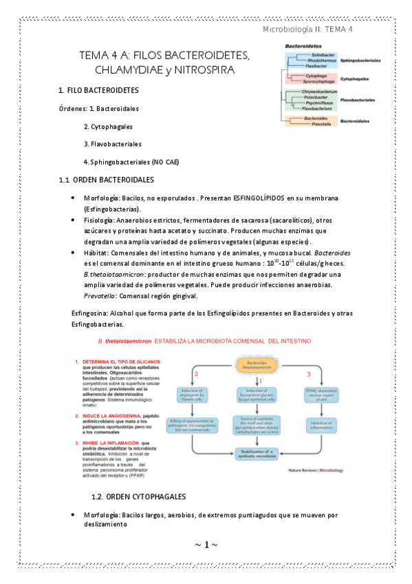 Miniatura del documento apuntes TEMA 4BC.pdf