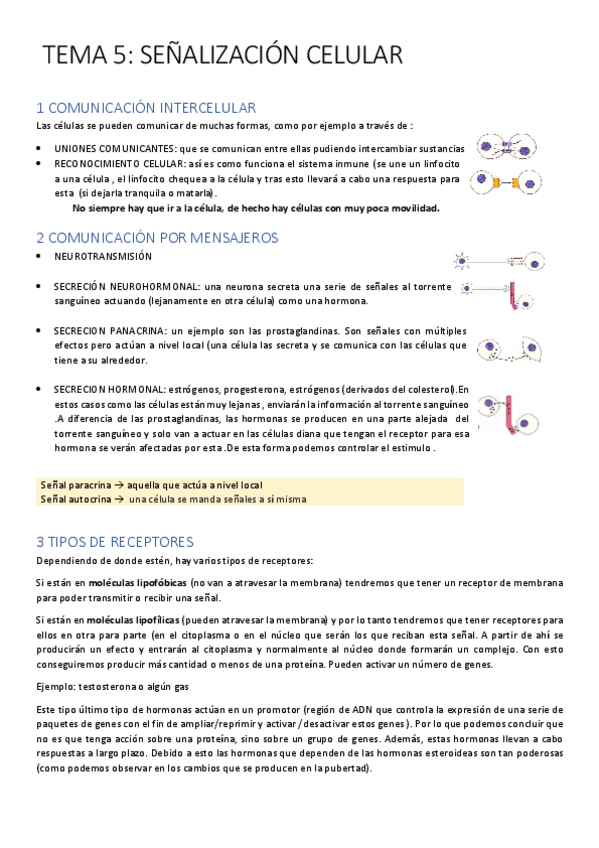 Miniatura del documento T5 señalización.pdf