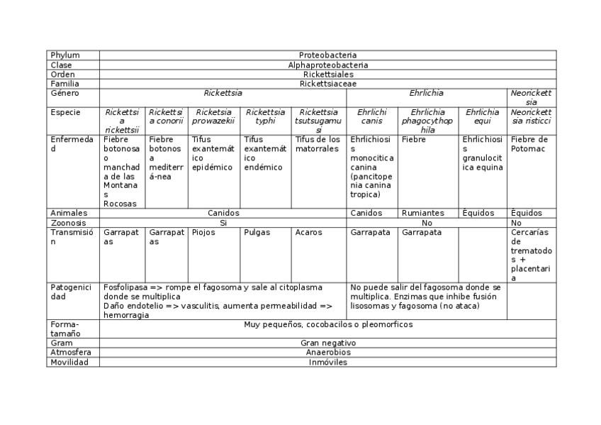 Miniatura del documento Cuadro bacterias (1-8).docx