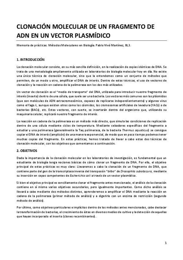 Miniatura del documento MEMORIA MMB Definitiva.pdf