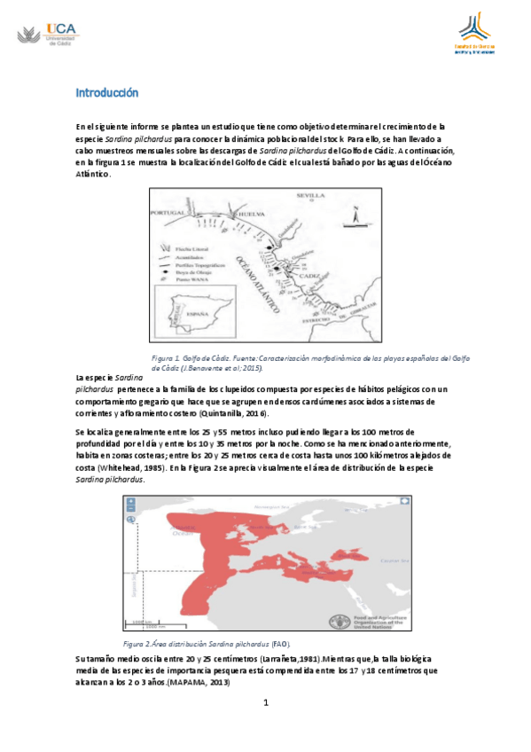 Miniatura del documento Informe crecimiento Sardina pilchardus.pdf