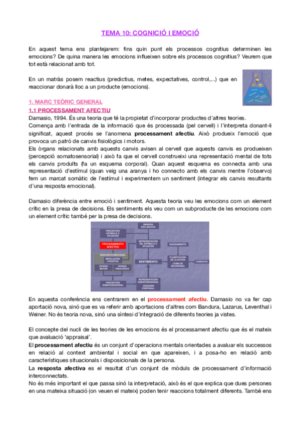 Miniatura del documento CONFERÈNCIA 19. TEMA 10 - COGNICIÓ I EMOCIÓ.pdf