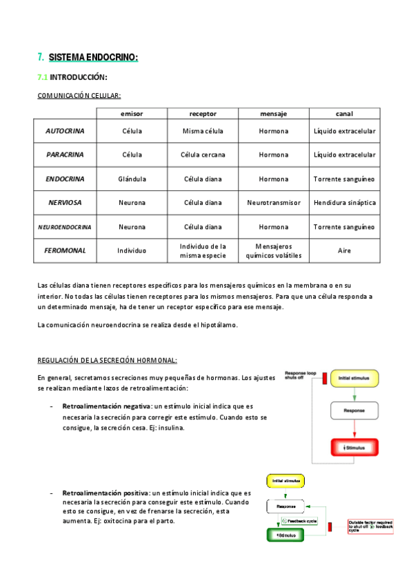 Miniatura del documento 7 - S. ENDOCRINO.pdf