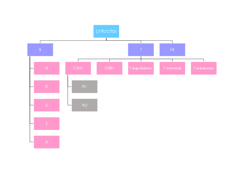 Miniatura del documento Tejido linfático.pdf