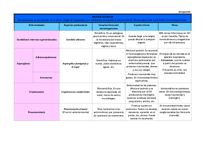 Miniatura del documento Tabla Micosis Internas.pdf