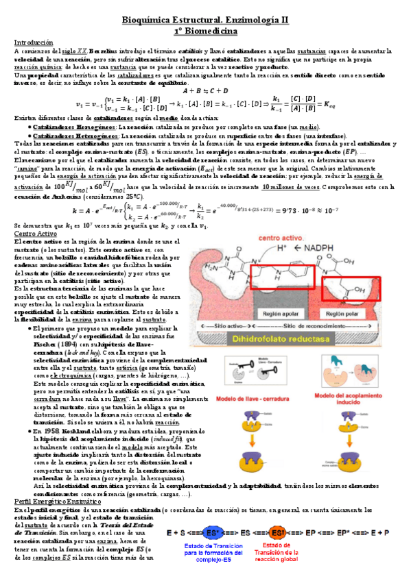 Miniatura del documento Enzimología 2.pdf