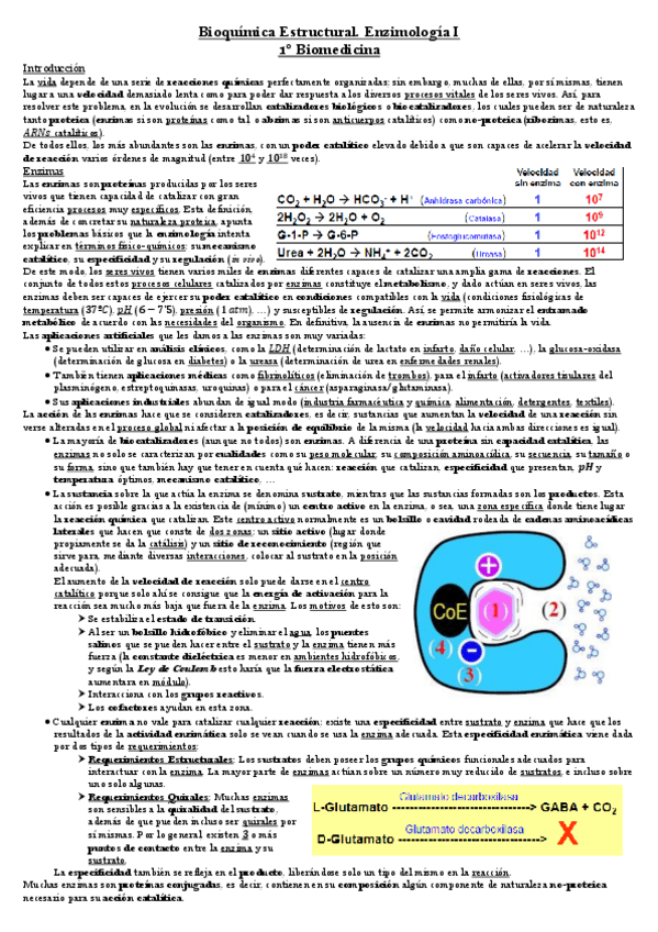 Miniatura del documento Enzimología 1.pdf