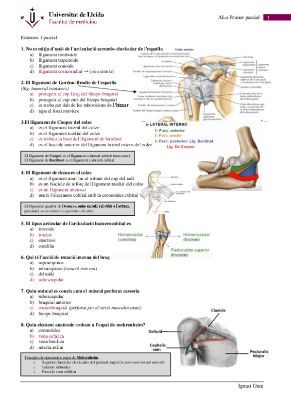 Miniatura del documento primer parcial .pdf