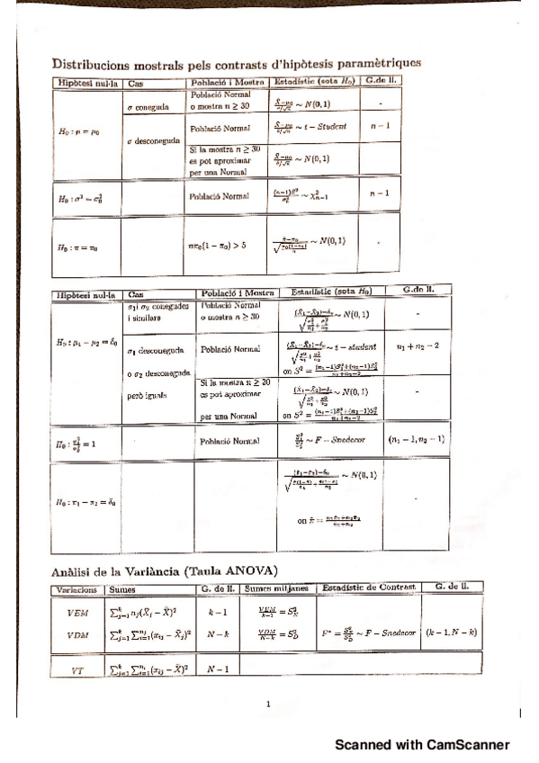 Miniatura del documento FORMULARI + PUNTS CLAU_.pdf