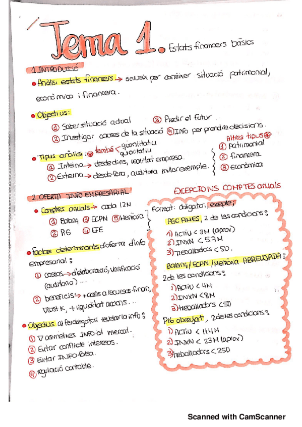 Miniatura del documento ANALISI ESTATS FINANCERS TEMES 1-7 apunts.pdf