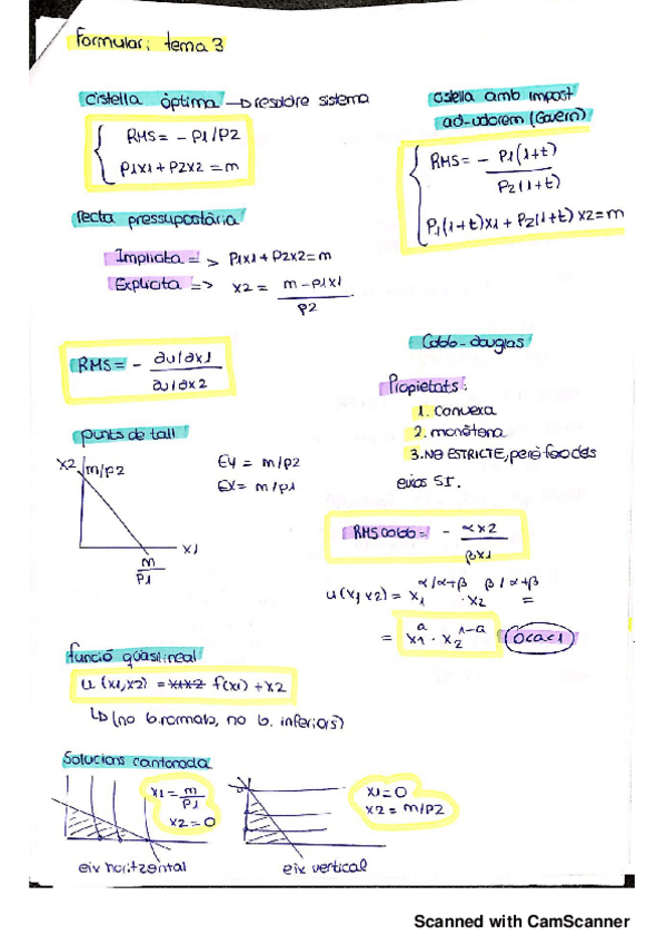 Miniatura del documento MICRO I FORMULARI TEMA 3 APLI T CONSUMID_.pdf