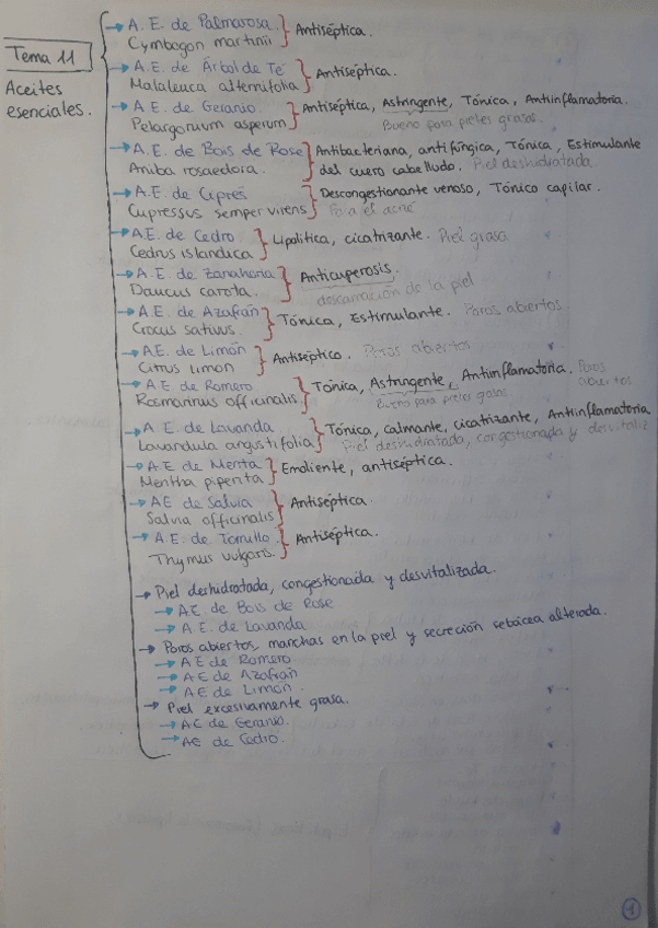 Miniatura del documento Esquema Segundo Parcial Fitoterapia.pdf