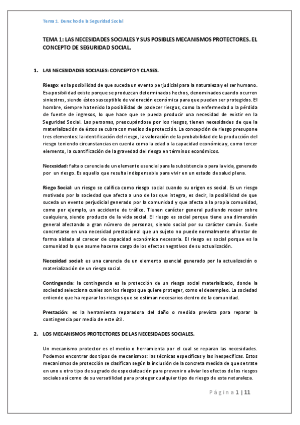 Miniatura del documento Tema 1.pdf
