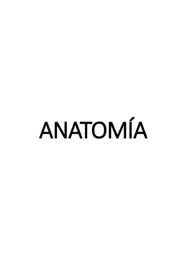 Miniatura del documento EXAMEN ANATOMÍA.pdf