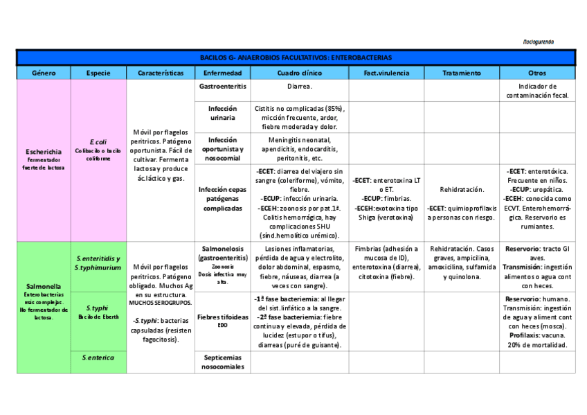 Miniatura del documento Tabla Enterobacterias.pdf
